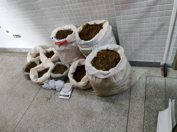 Operação Alvorada: Polícia prende cinco e apreende 46 kg de maconha em Campo Formoso e Antônio Gonçalves