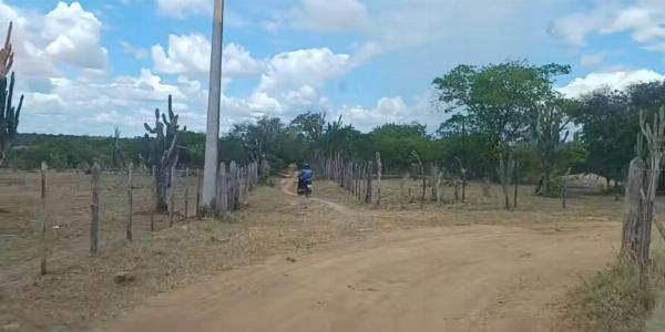 Polícia encontra mais dois corpos em Riachão do Jacuípe